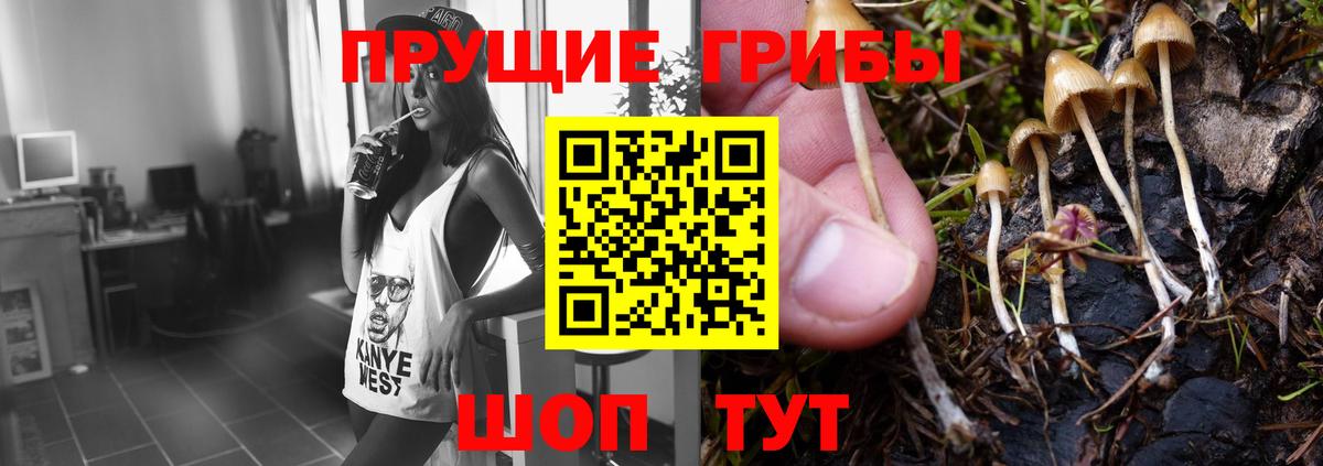 цена   Галлюциногенные грибы MAGIC MUSHROOMS  Вход с VPN  Грозный 